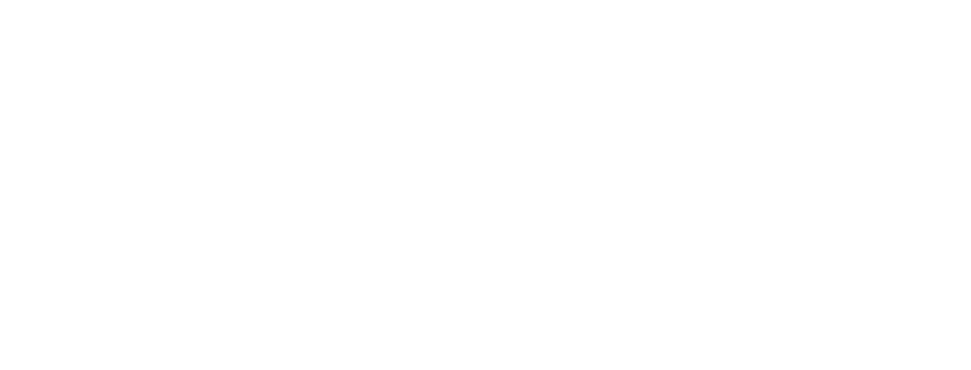 Punto Riflesso